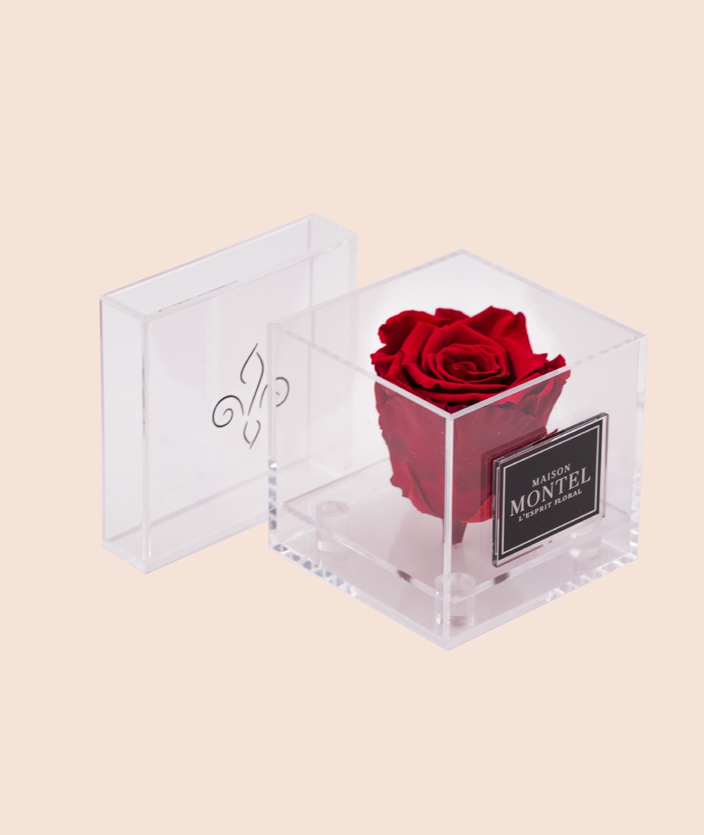 Mini-Box Rose Éternelle